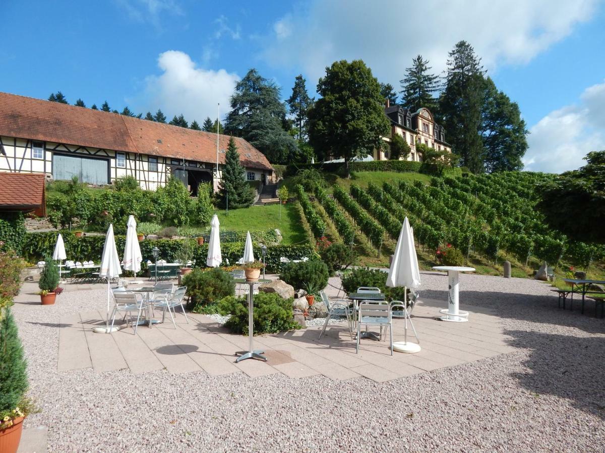 Wein Lodge Durbach - Schlossblick Dış mekan fotoğraf