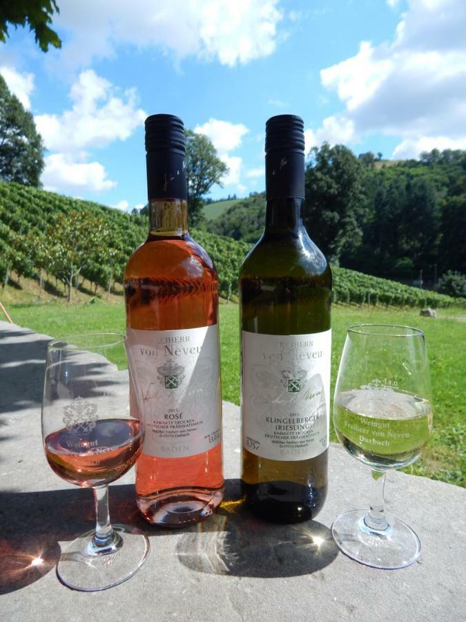Wein Lodge Durbach - Schlossblick Dış mekan fotoğraf