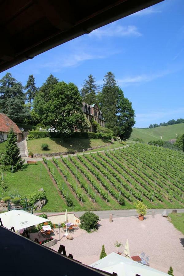 Wein Lodge Durbach - Schlossblick Dış mekan fotoğraf