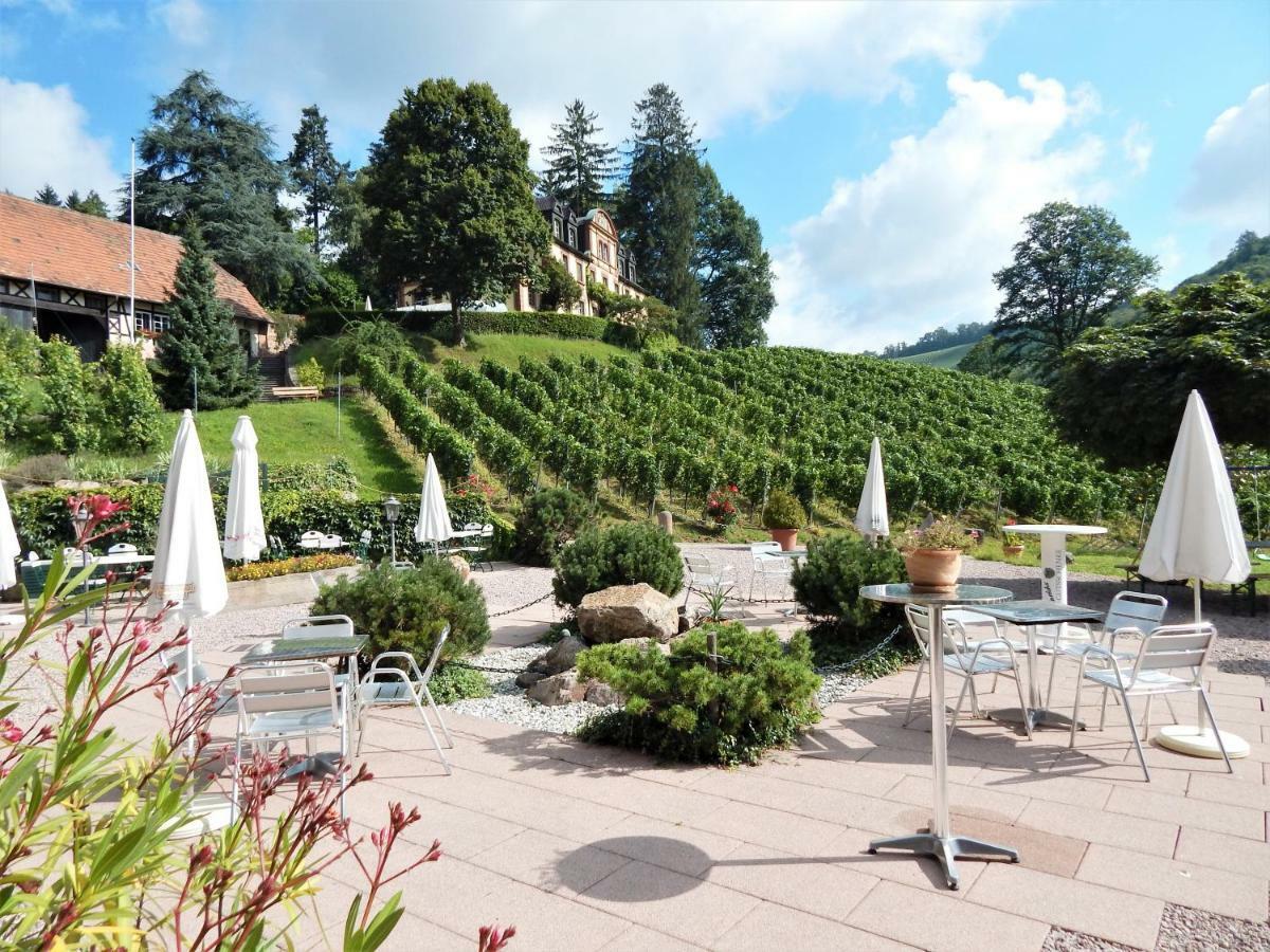 Wein Lodge Durbach - Schlossblick Dış mekan fotoğraf