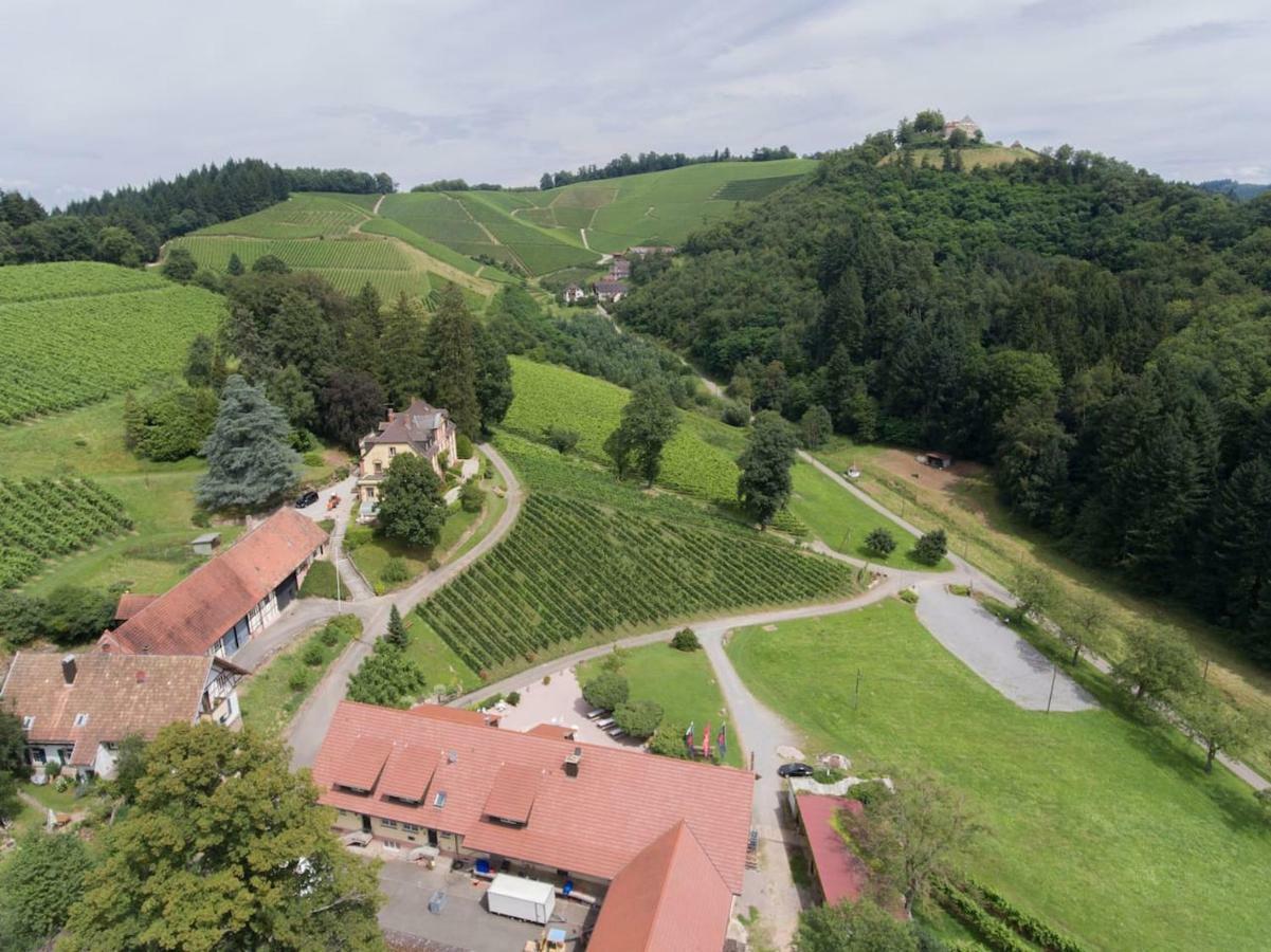 Wein Lodge Durbach - Schlossblick Dış mekan fotoğraf